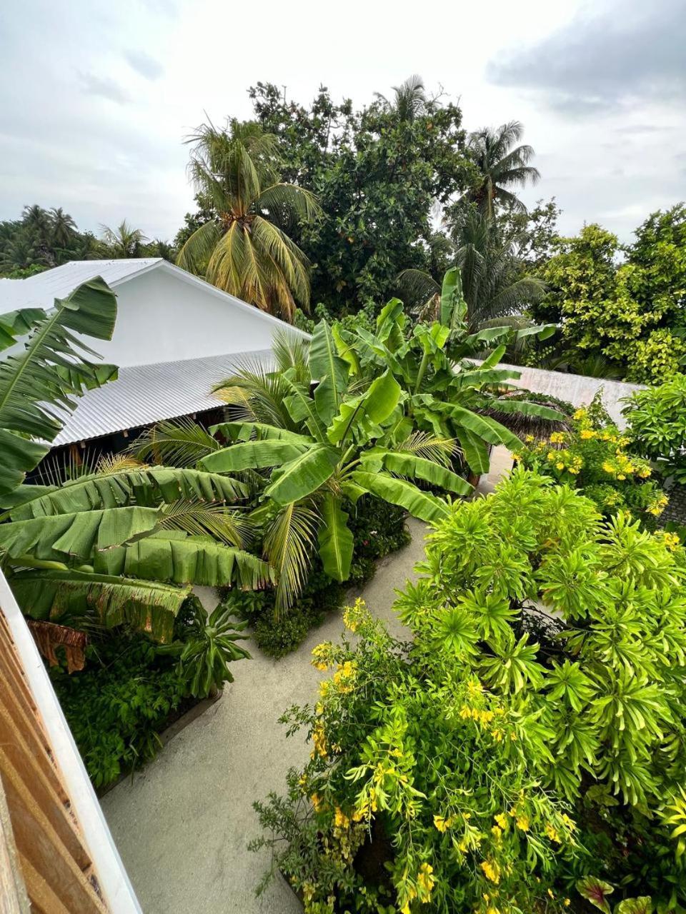 Seaside Dhigurah Hotell Dhigurah  Eksteriør bilde