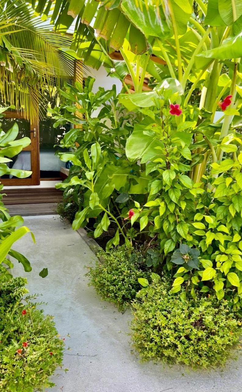 Seaside Dhigurah Hotell Dhigurah  Eksteriør bilde